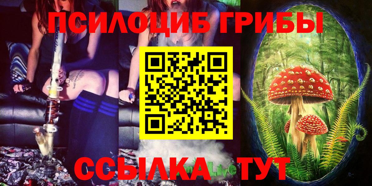 Псилоцибиновые грибы мицелий  Галлюциногенные грибы GOLDEN TEACHER  Вход с VPN  Чернушка 