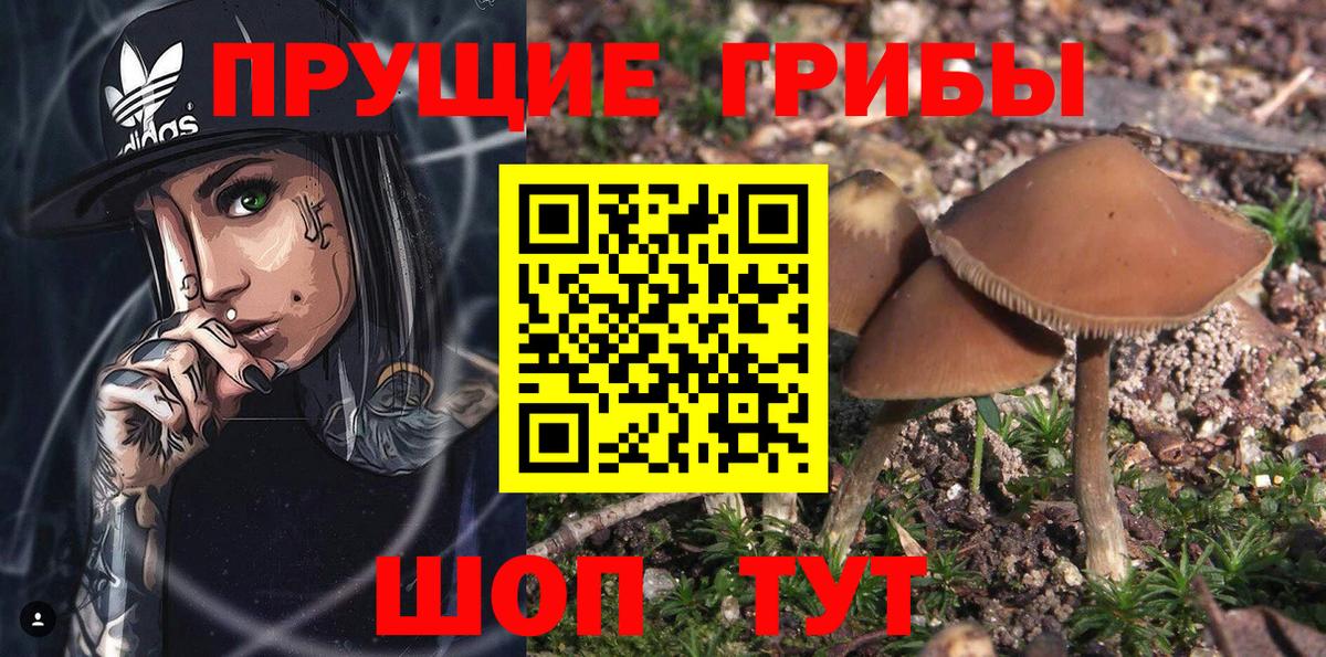 Псилоцибиновые грибы Magic Shrooms Чернушка